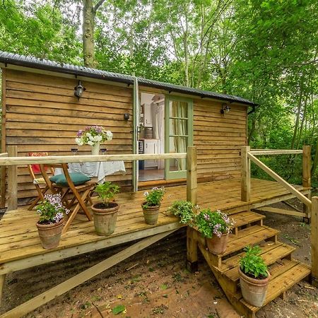 Woodland Retreat Shepherds Hut Villa Brundish ภายนอก รูปภาพ